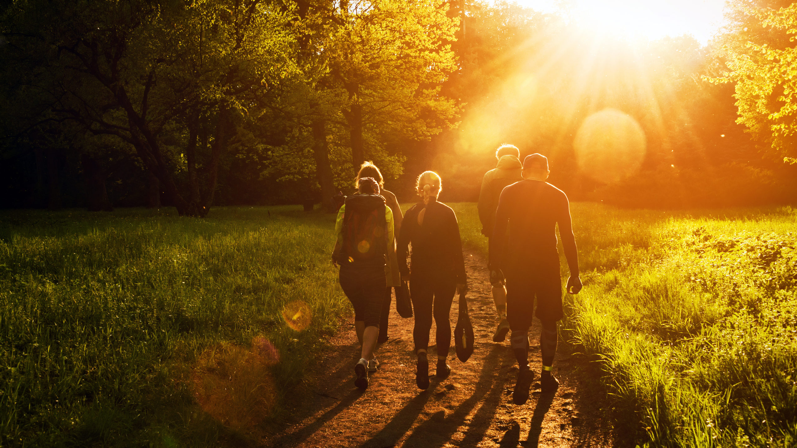 Group,Of,Friends,Walking,With,Backpacks,In,Sunset,From,Back.